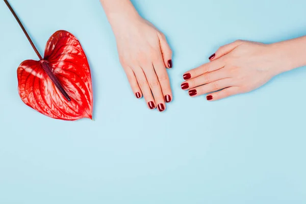 Manicura roja y flor . —  Fotos de Stock