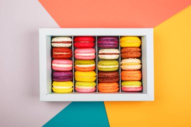 Şık mavi ve pembe arka plan üzerinde renkli macarons şişe. Düz yatıyordu stili.