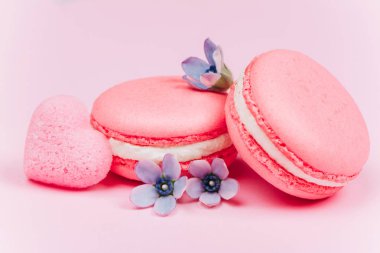 İki pembe macarons küçük mavi çiçekler ve kalp şeklinde şeker