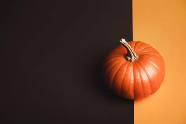 Calabaza Sobre Fondo Bicolor Hortalizas Halloween Interesante Telón Fondo Con — Foto de Stock