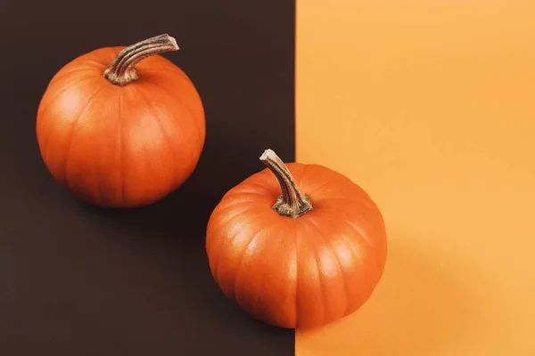 Pumpkins on two-colored background. Halloween vegetable on interesting backdrop with place for text.