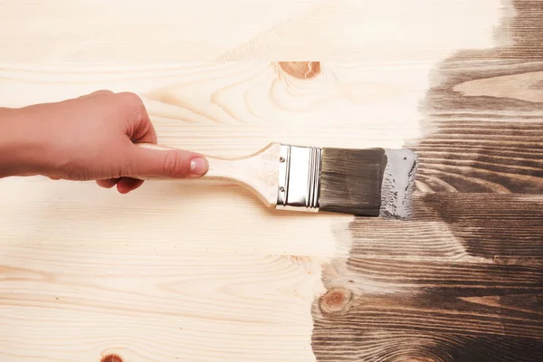 Boya fırçası smear