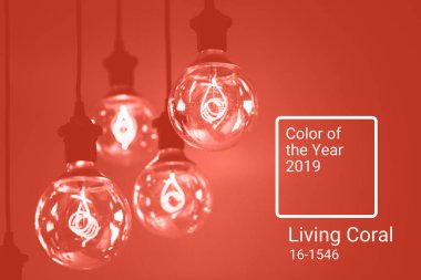 Tungsten filaman ilginç şekli ile grup yaşayan mercan lambaları. Yıl 2019 rengi. Ana eğilim kavramı.