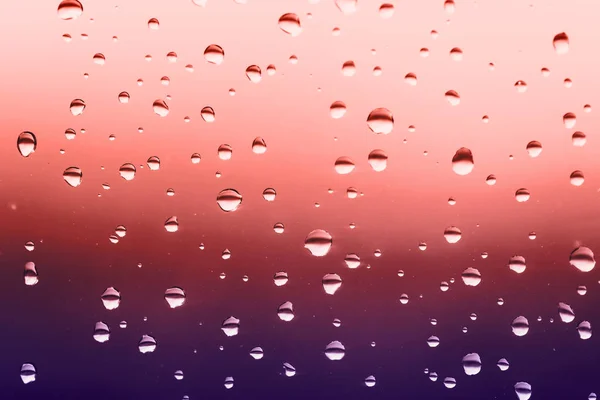 Ploaie Frumoasă Cade Fereastră Ultra Violet Gradient Corali Vii — Fotografie, imagine de stoc