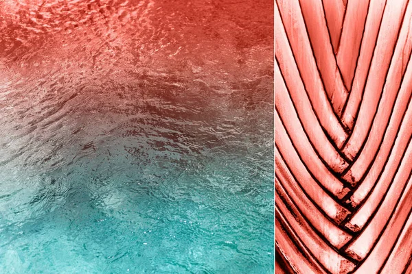 Collage Creativo Ispirato Colore Living Coral Principale Concetto Tendenza Umore — Foto Stock