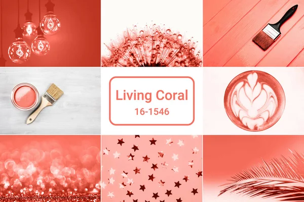 Colagem Criativa Inspirada Coral Vivo Cor Ano 2019 — Fotografia de Stock