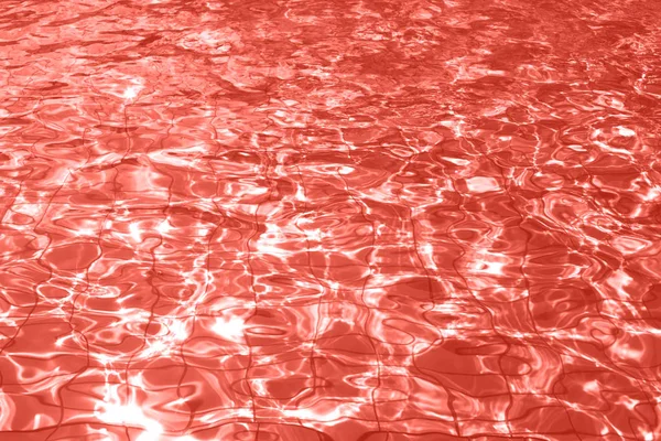Lebende Korallen Transparentes Poolwasser Farbe Des Jahres 2018 — Stockfoto
