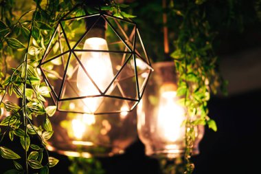 Yaratıcı modern yeşil tropikal bitkilerle aydınlatma. Doğa ve insan işbirliği kavramı.