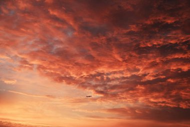 Dramatik ve renkli bulutlu gökyüzü günbatımı. Mercan rengi 2019 yaşayan.