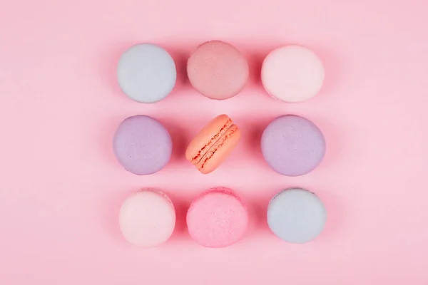 Groupe Macarons Pastel Colorés Avec Corail Concept Couleur 2019 — Photo