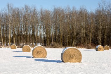 Saman balya bir kış alanda