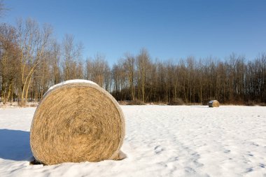 Saman balya bir kış alanda