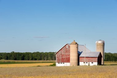 Copy Space ile Aile Çiftliği Sahnesi