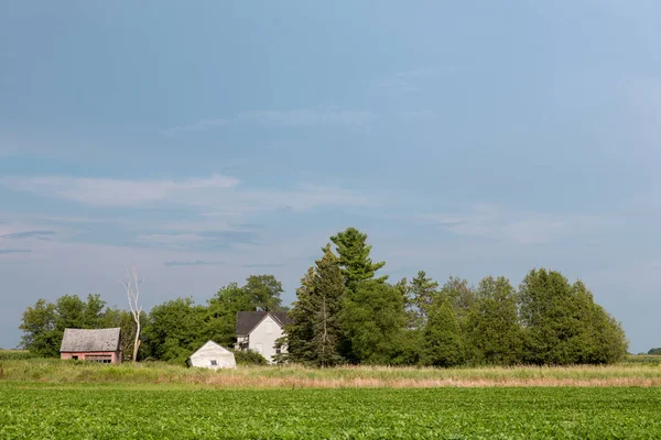 Abandoned Rural Homestead with Copy Space — Stock Photo, Image