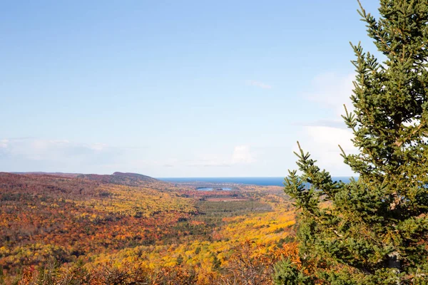 Nature Background - Autumn Colors and Clear Sky Framed by Pine T — Stock Photo, Image