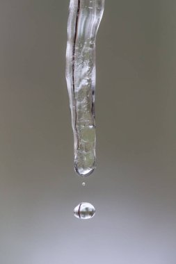 Damlama Icicle Makro