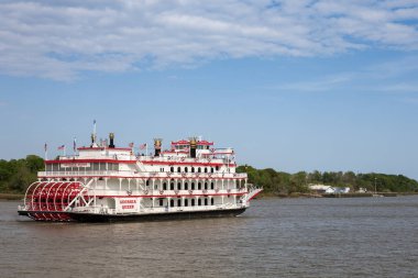 Savannah Nehri üzerinde Paddlewheel Tekne Cruise