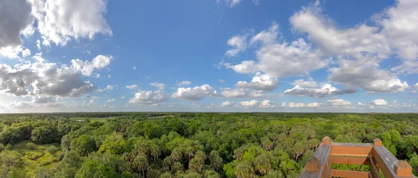 Panorama de copas de árboles con plataforma de visualización en primer plano —  Fotos de Stock