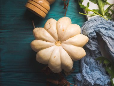 Kabak, yaprakları ile sonbahar arka planı yeşil