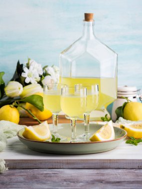 Ev yapımı limoncello stemmed gözlük