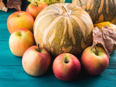 Kabak elma ile sonbahar hasat kavramı