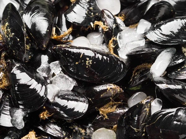 Mejillones frescos crudos en bandeja oxidada —  Fotos de Stock