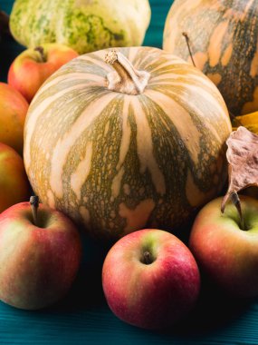 Kabak elma ile sonbahar hasat kavramı