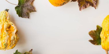 Arka plan beyaz sonbahar squash ve yaprakları