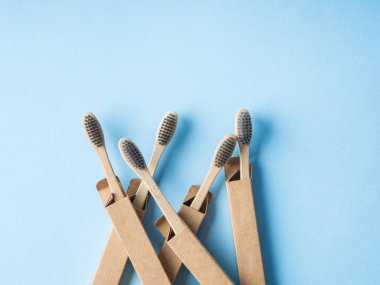 Mavi bambu biyolojik diş fırçaları