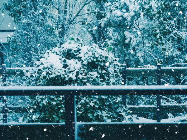 乡村的户外降雪 — 图库照片