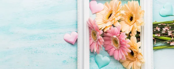 Schöne Blumen im Rahmen auf pastellgrün — Stockfoto
