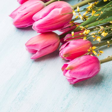 Pastel yeşil zemin üzerine güzel lale