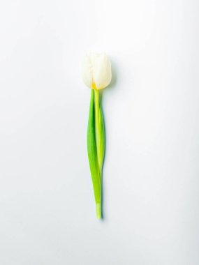 Çok az kadının günü tebrik kartı