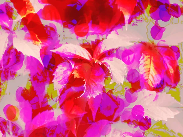 Fondo abstracto con hojas, rojo rosa bokeh — Foto de Stock