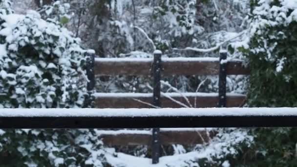 Nieve cayendo durante tormenta de nieve en el patio trasero — Vídeos de Stock