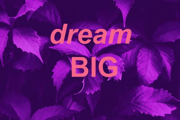Purple foliage inspirational background. Dream big — Stock Photo, Image