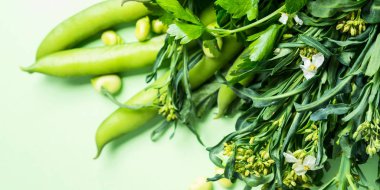 Pastel arka planda yeşil sebzeler ve otlar