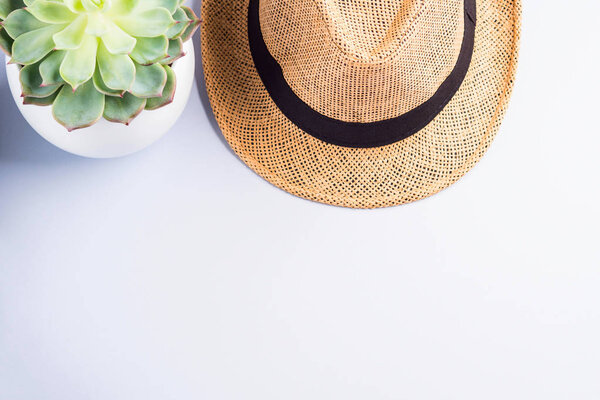 Straw hat and succulent on neutral gray background