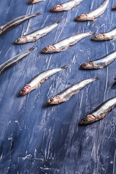 Padrão de peixe. Anchovas frescas em azul — Fotografia de Stock