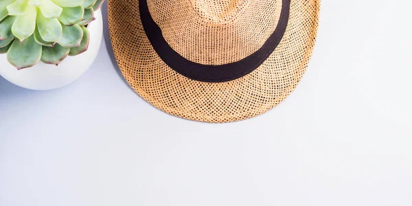 Соломенная шляпа и сочный на нейтральном сером фоне — стоковое фото