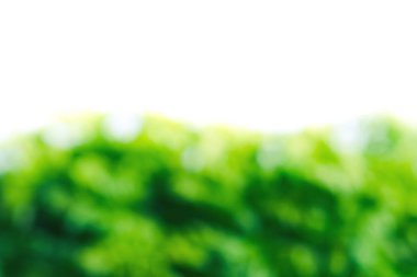 Soyut bulanık doğal peyzaj arka plan