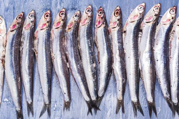 Fish pattern. Fresh anchovies on blue