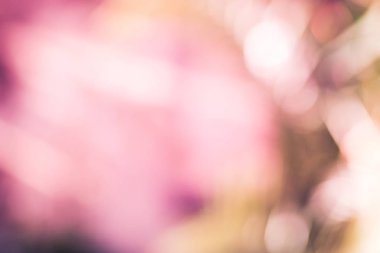 Soyut bulanık doğal arka plan, mor ton.