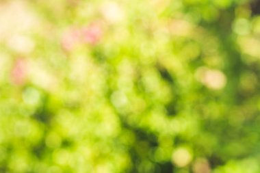 Soyut bulanıklık yeşil ve sarı doğal arka plan.