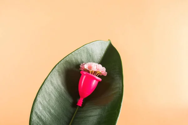 Copo menstrual rosa na folha verde com flores — Fotografia de Stock