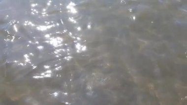 Tiren Denizi'nin karanlık deniz suyu hareket halinde