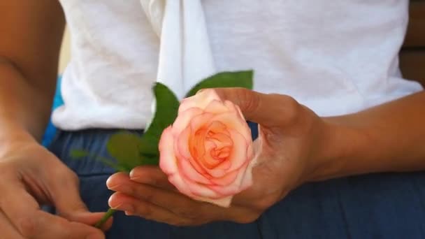 Woman holding rose in hands and turning it — Stock Video