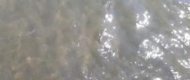 Tiren Denizi'nin karanlık deniz suyu hareket halinde