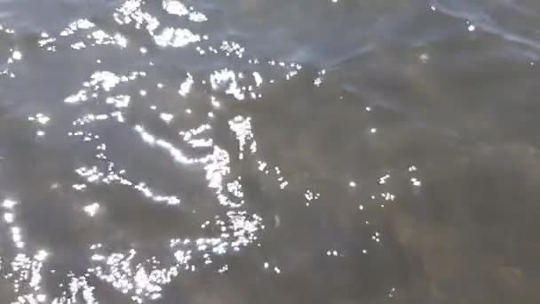 Темно-морская вода Тирренского моря в движении — стоковое видео