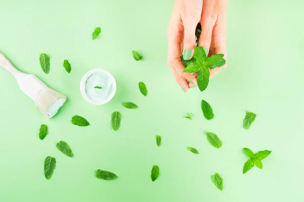 Hand with mint and paint brush on green — Stock Photo, Image